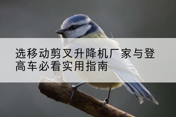 独山电动升降机厂家-选移动剪叉升降机厂家与登高车必看实用指南