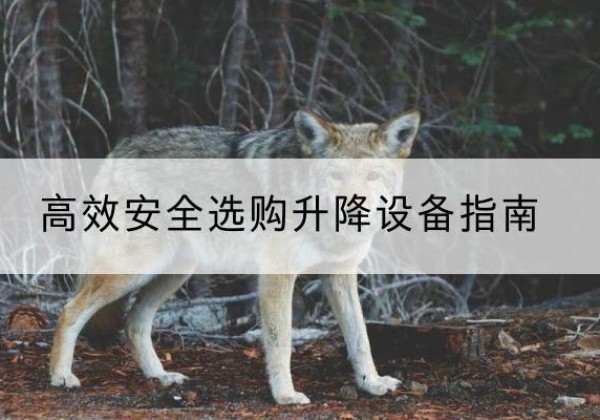 独山升降货梯厂家推荐-*安全选购升降设备指南