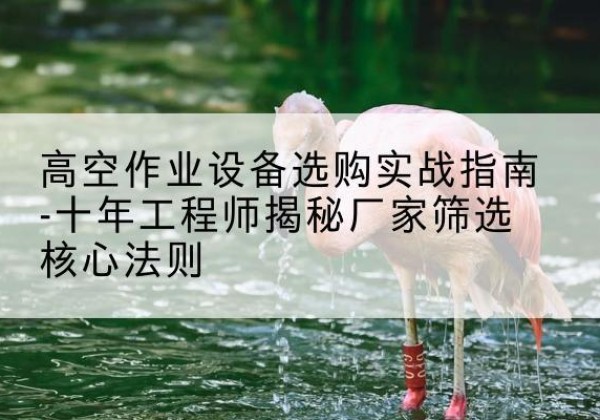独山剪叉式升降机厂家-高空作业设备选购实战指南-十年工程师揭秘厂家筛选核心法则